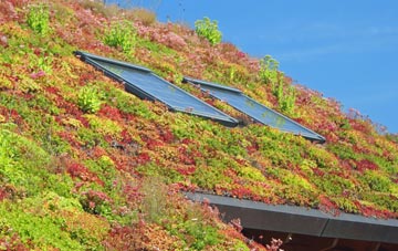 Coppingford living roof systems